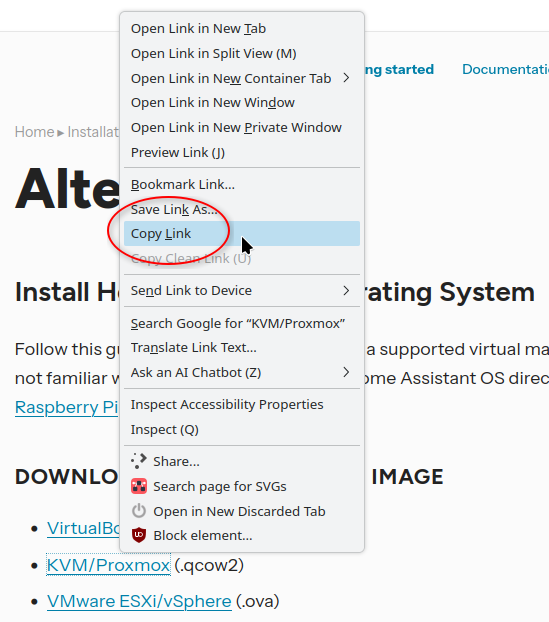 copy link on Home Assistant download page