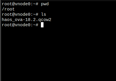 Show current directory when installing home assistant on proxmox with pwd and ls commands